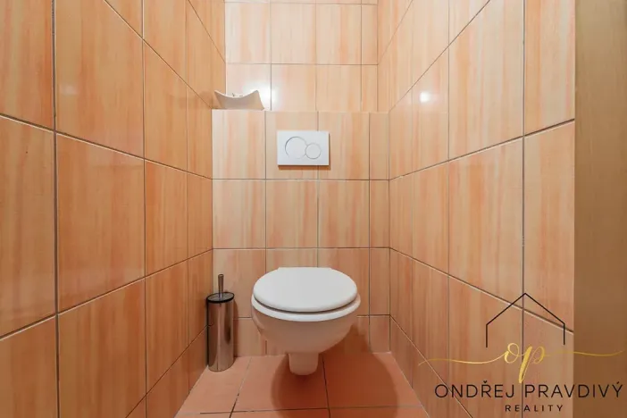 Prodej rodinného domu, Lety, Sokolská, 265 m2