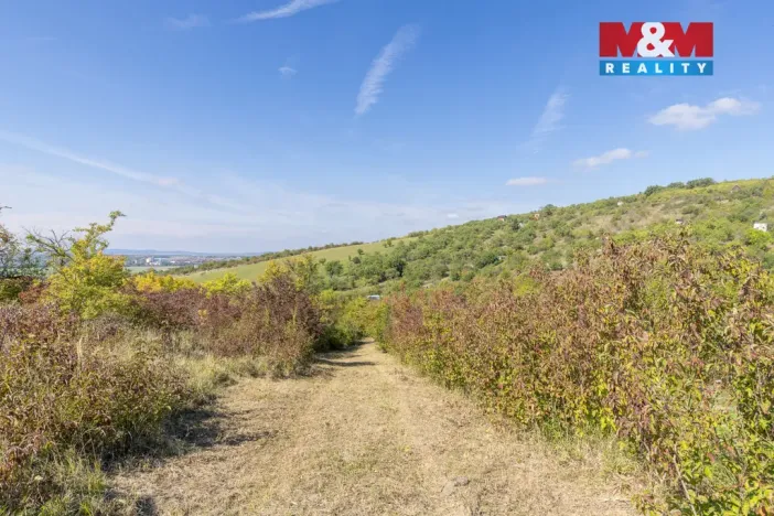 Prodej zahrady, Židlochovice, 3718 m2