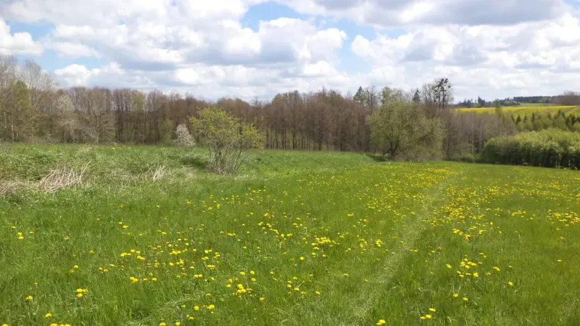 Prodej pozemku, Vítkov, 5357 m2