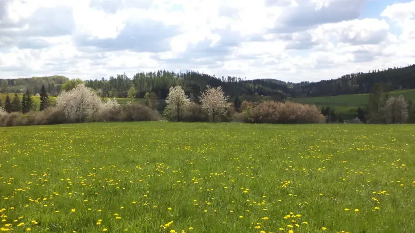 Prodej pozemku, Vítkov, 5357 m2