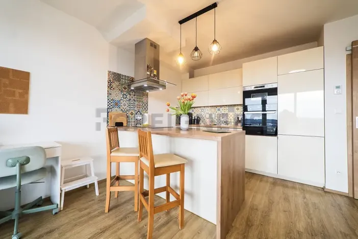 Prodej bytu 1+kk, Olomouc, Loudova, 36 m2