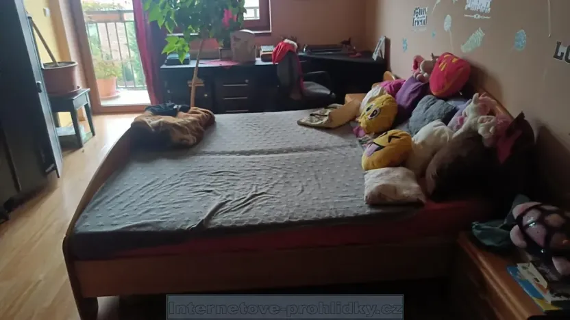 Pronájem pokoje, Praha - Radotín, Kalabisova, 16 m2