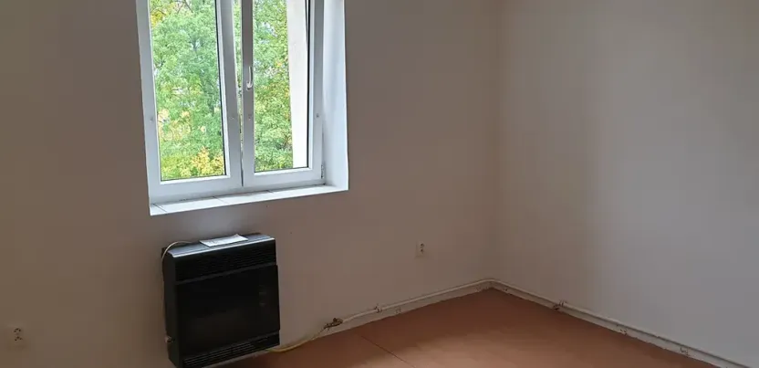 Pronájem bytu 1+kk, Novosedlice, Drahénská, 30 m2