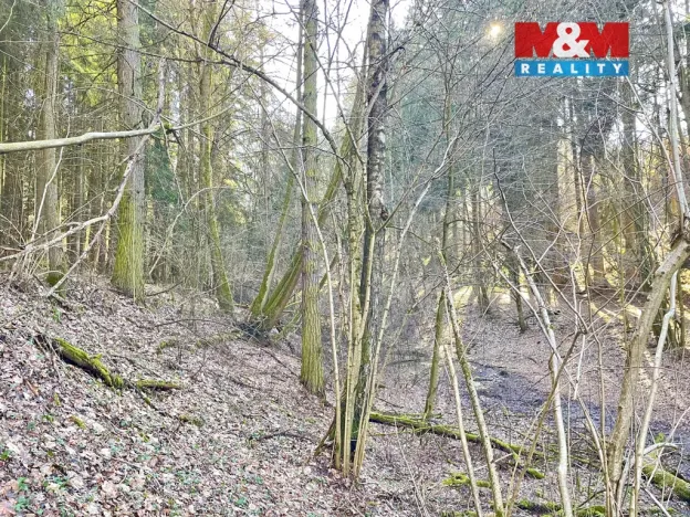 Prodej lesa, Dolní Dobrouč - Lanšperk, 4113 m2