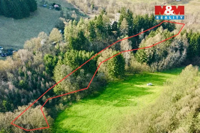 Prodej lesa, Dolní Dobrouč - Lanšperk, 4113 m2