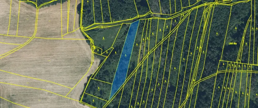 Prodej lesa, Blížejov - Lštění, 4481 m2