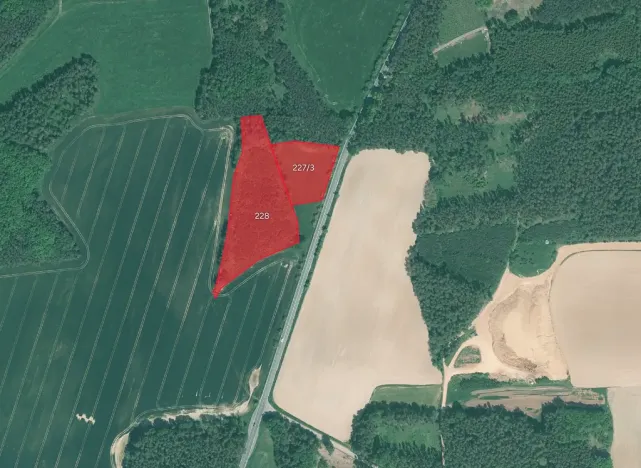 Prodej lesa, Luženičky, 15277 m2