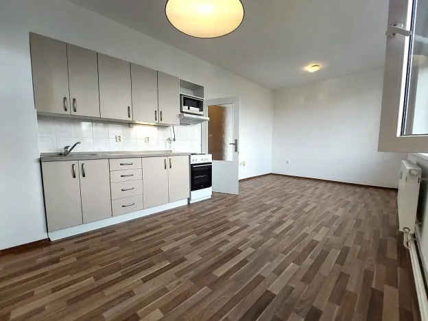 Pronájem bytu 2+kk, Brno, Renneská třída, 48 m2