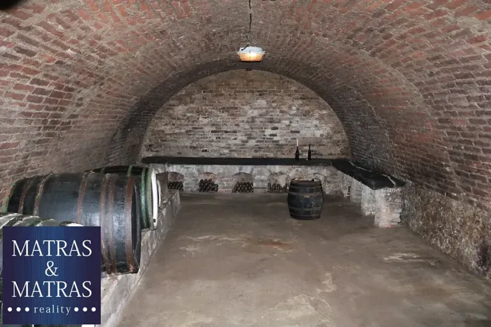 Prodej vinného sklepa, Pavlov, Rudolfa Gajdoše, 100 m2