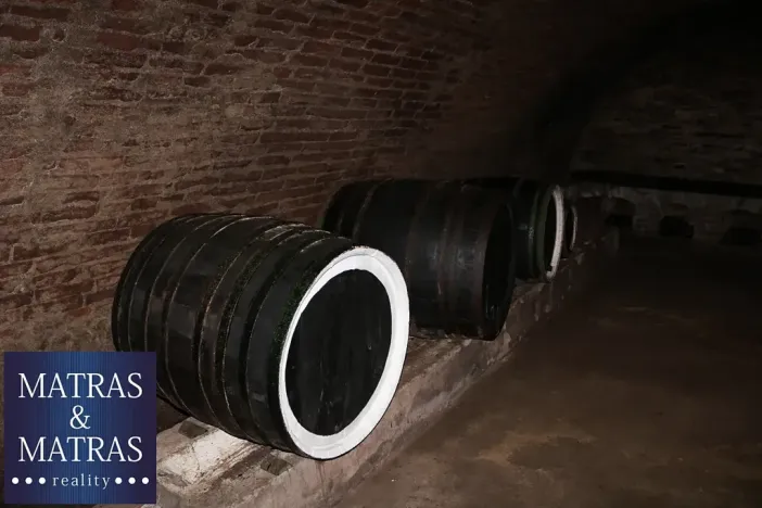 Prodej vinného sklepa, Pavlov, Rudolfa Gajdoše, 100 m2