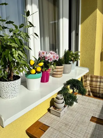 Prodej bytu 3+1, Teplice, Duchcovská, 70 m2