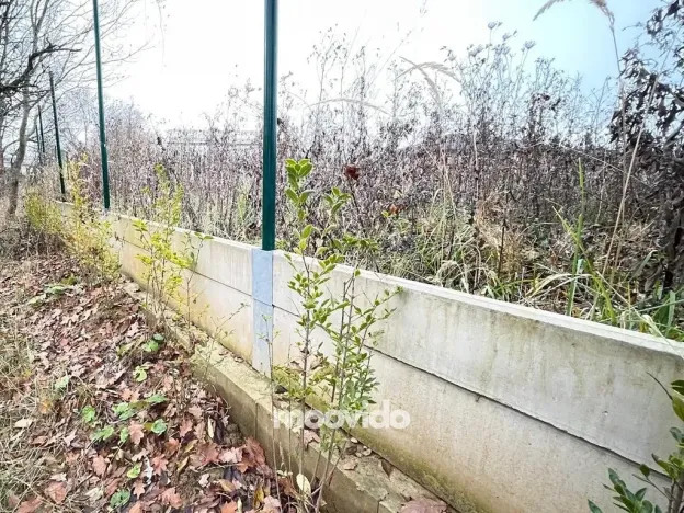 Prodej rodinného domu, Dobřejovice, U Sadu, 226 m2