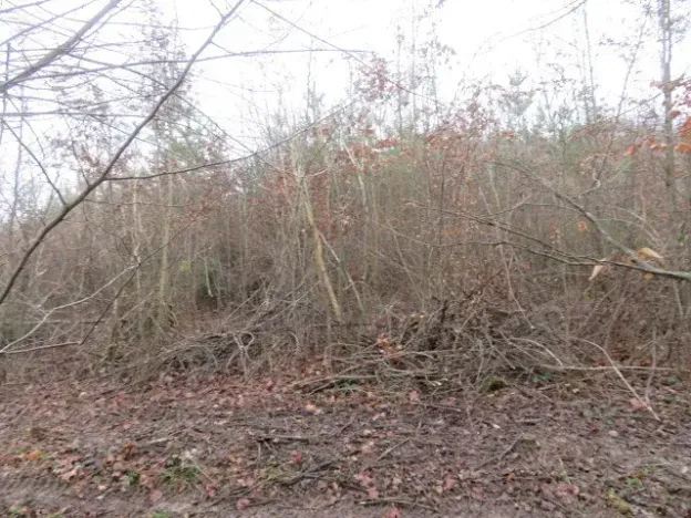 Dražba pole, Fryšták, 2164 m2