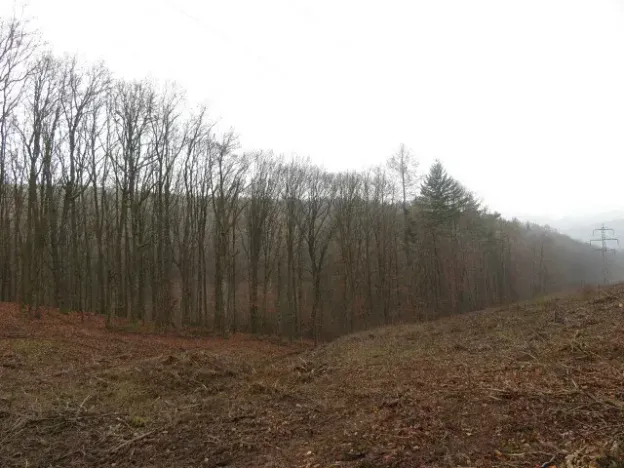 Dražba pole, Fryšták, 2164 m2