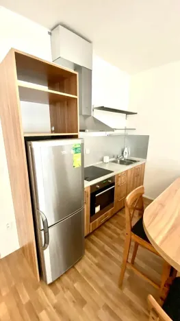 Pronájem bytu 1+kk, Brno, Přadlácká, 31 m2