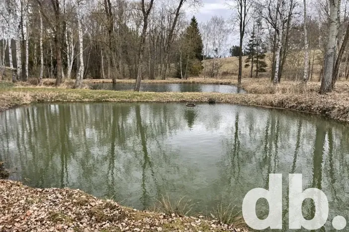 Prodej rybníku, Toužim, 5506 m2