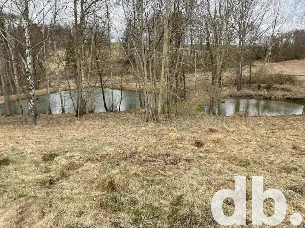 Prodej rybníku, Toužim, 5506 m2