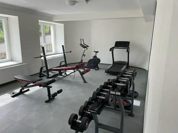 Pronájem bytu 1+kk, Praha - Vinohrady, Perucká, 25 m2