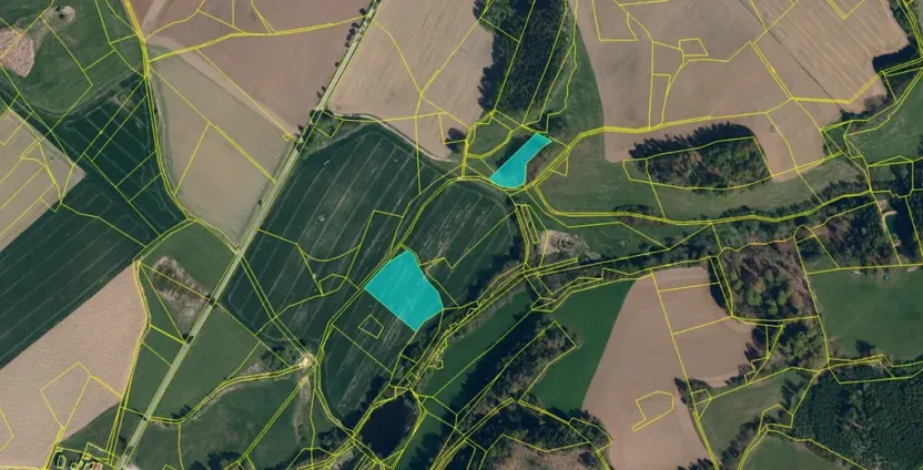 Dražba pole, Mladé Bříště, 9114 m2