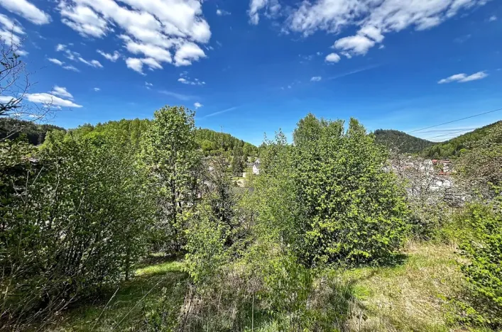 Prodej pozemku pro bydlení, Kraslice, 1039 m2