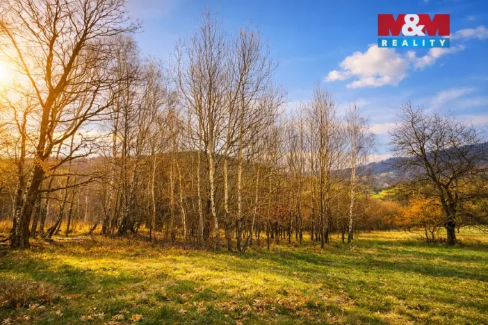 Prodej louky, Mikulůvka, 4458 m2