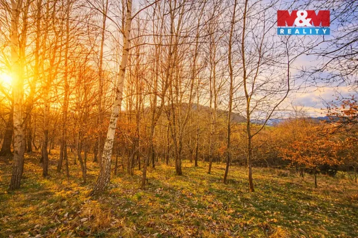 Prodej louky, Mikulůvka, 4458 m2