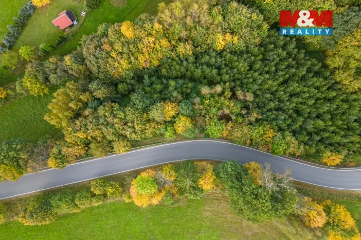 Prodej lesa, Kosov, 467 m2