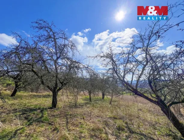 Prodej pole, Sušice - Sušice II, 5140 m2