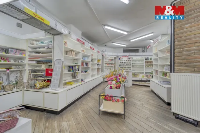 Pronájem obchodního prostoru, Plzeň - Vnitřní Město, Bedřicha Smetany, 304 m2