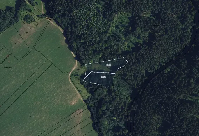 Prodej louky, Vavřinec, 16163 m2