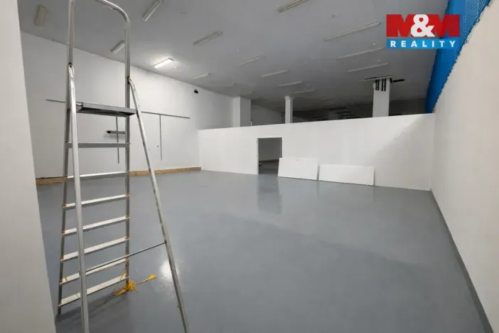 Pronájem skladu, Praha - Strašnice, K Červenému dvoru, 42 m2