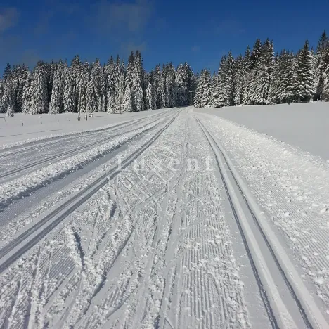 Prodej rodinného domu, Kvilda, 203 m2