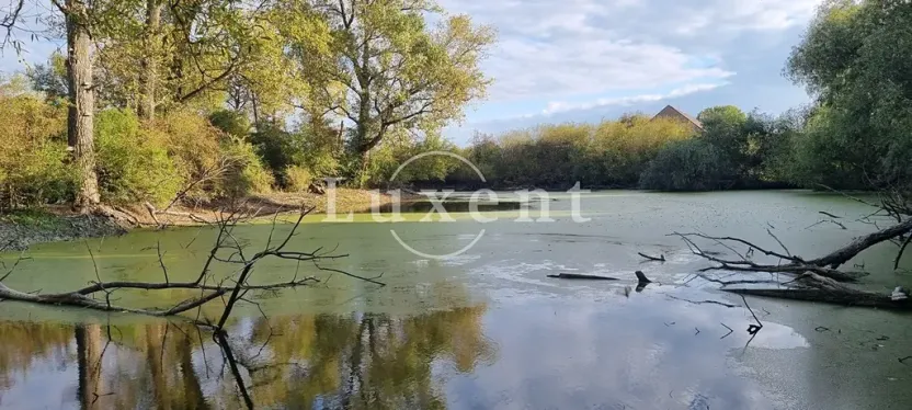 Prodej zemědělského objektu, Běrunice, 600 m2