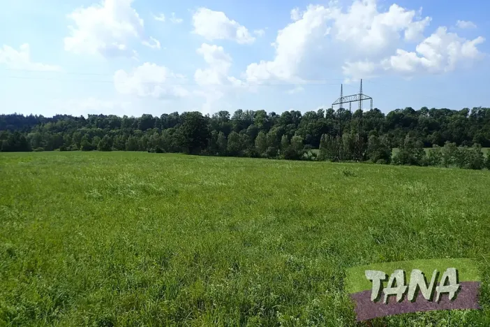 Prodej louky, Hodkovice nad Mohelkou, 49051 m2