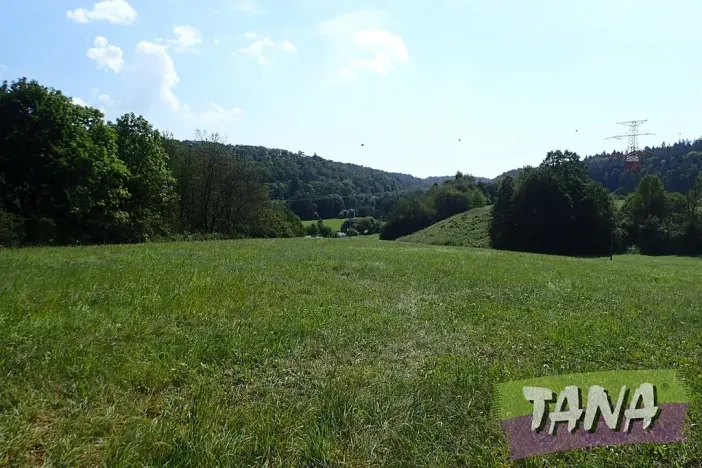 Prodej louky, Hodkovice nad Mohelkou, 49051 m2