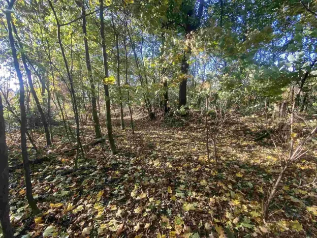 Prodej pozemku, Zdislava, 1043 m2