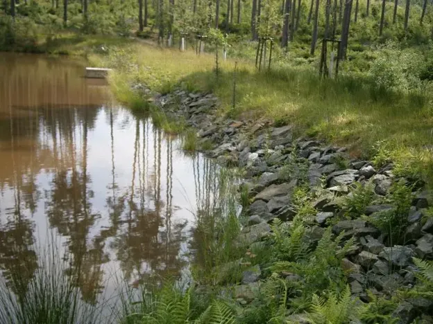 Pronájem rybníku, Sklené nad Oslavou, 10645 m2