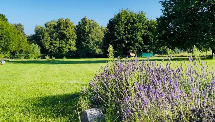 Prodej rodinného domu, Rabí, 320 m2