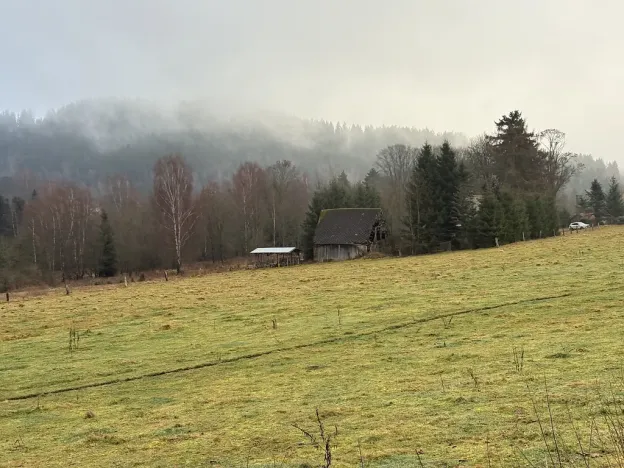 Prodej rodinného domu, Bublava, 100 m2