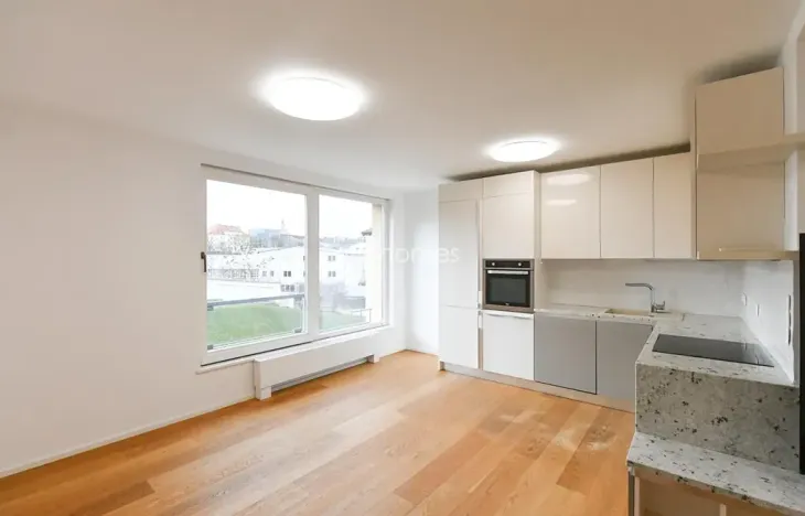 Pronájem bytu 3+kk, Praha - Bubeneč, Mlýnská, 96 m2