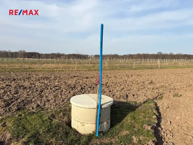 Prodej sadu/vinice, Nové Dvory, 9979 m2