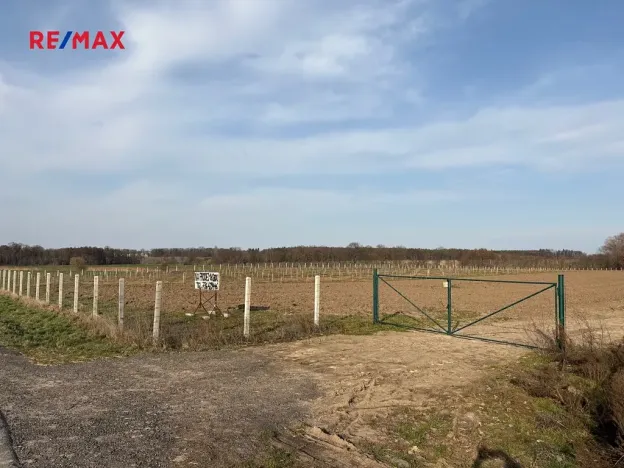 Prodej sadu/vinice, Nové Dvory, 9979 m2