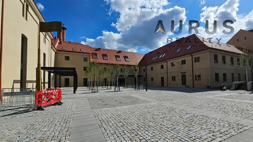 Pronájem garážového stání, Praha - Nusle, Bělehradská, 20 m2