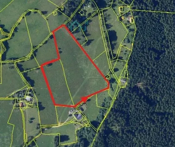 Prodej louky, Křižánky, 21861 m2