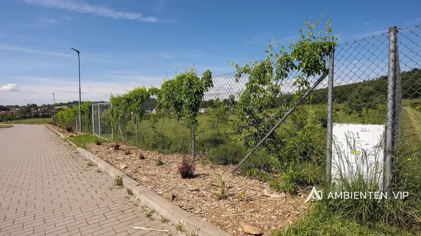 Prodej pozemku pro bydlení, Drásov, 3364 m2