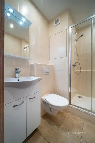 Pronájem bytu 1+kk, České Budějovice - České Budějovice 3, Plzeňská, 21 m2