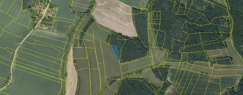 Prodej lesa, Čepřovice, 1644 m2