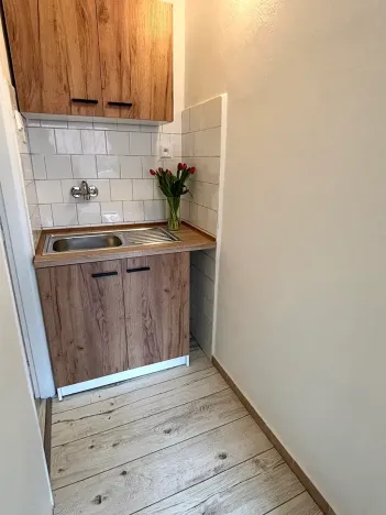 Pronájem bytu 1+kk, Frýdek-Místek, El. Krásnohorské, 29 m2