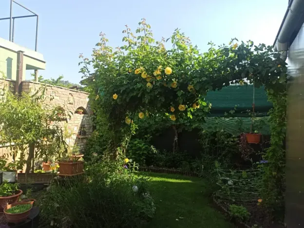 Prodej vícegeneračního domu, Mikulov, Na Jámě, 220 m2