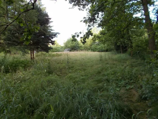 Prodej louky, Velký Šenov - Leopoldka, 3266 m2